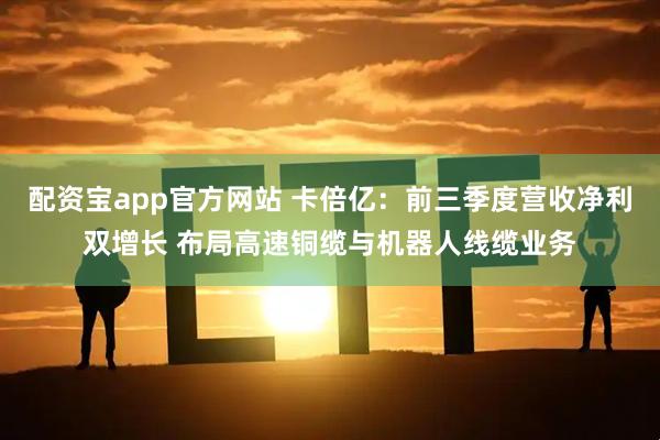 配资宝app官方网站 卡倍亿：前三季度营收净利双增长 布局高速铜缆与机器人线缆业务