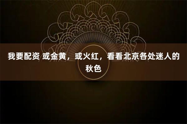我要配资 或金黄，或火红，看看北京各处迷人的秋色